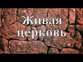 "Живая церковь".  Г. В. Костюченко. МСЦ ЕХБ