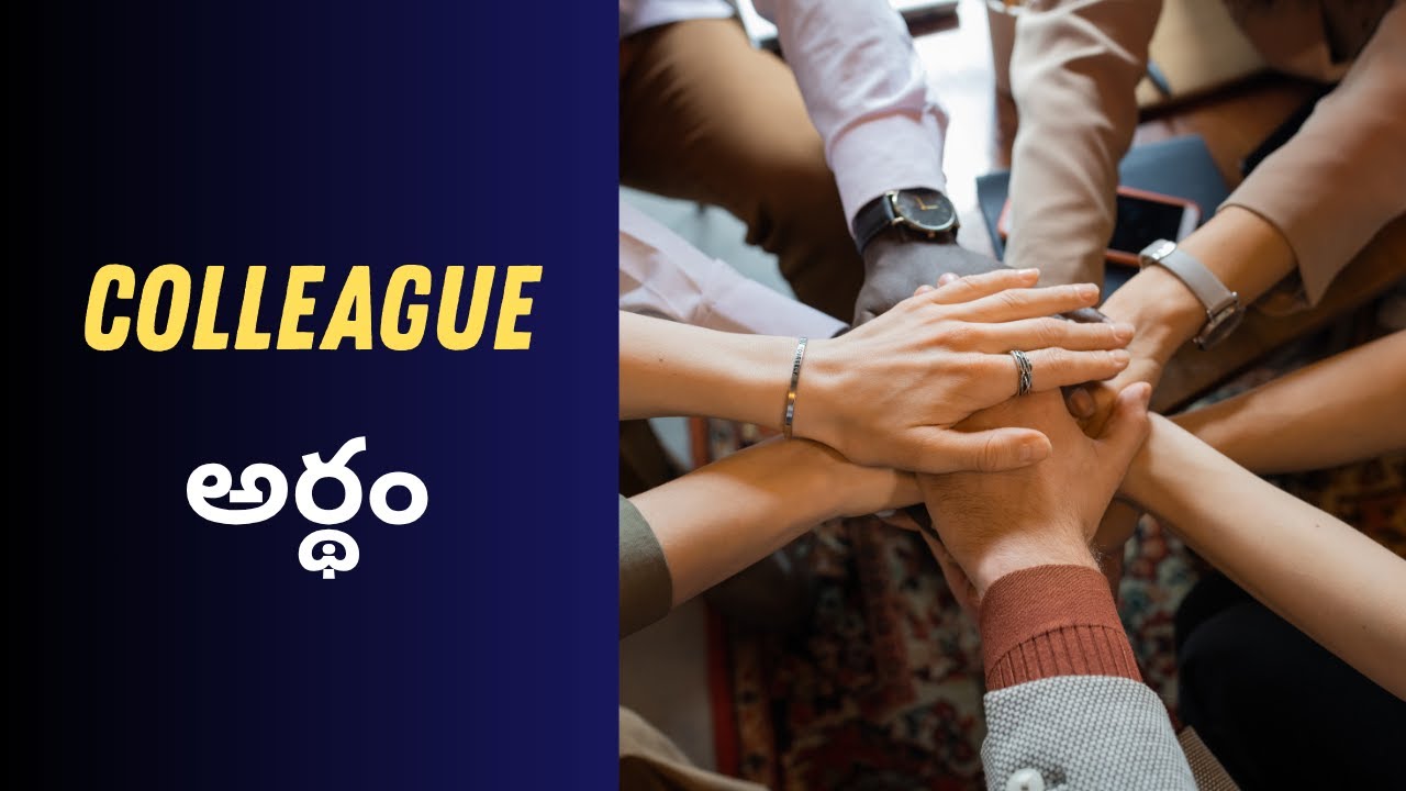 colleague-meaning-in-telugu-with-examples-colleague