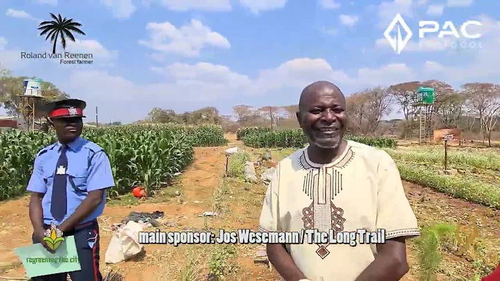 Introduction of syntropic agroforestry in Lusaka Zambia