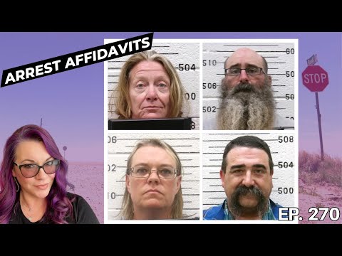 Thumbnail for Kansas Missing Moms Prosecution, another custody case. The Emily Show Ep 270