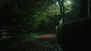 Cozy Rain | Calming | Relaxing | Meditation | Stress, Insomnia Relief screenshot 4
