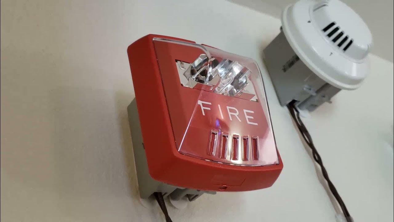 Wheelock Exceder STR Strobe Fire Alarm Test YouTube