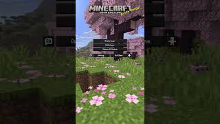 This Custom Texture Pack Changes EVERYTHING #minecraft #shorts