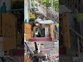 Dharamkot, India | The Hippie Village of the Himalayas