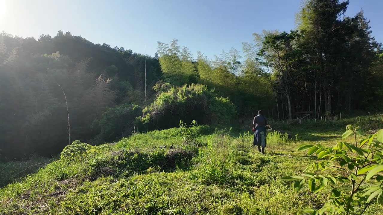 耕作放棄地西竹やぶ付近：草刈り機26㏄ チップソー ジズライザプロエア