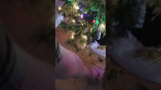 Christmas Tree Rat Fail