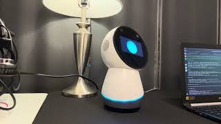 Jibo Regression Test – What Works (and What Doesn’t) | v1.0.18