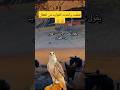 طناخه رجال السعودية اليمن عمان دويتو ترند واتساب اكسبلور ترند حكم شعر مصطفى المومري 