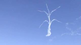 [20091103]航空自衛隊入間基地x29「4:ブルーインパルス～デルタ～」