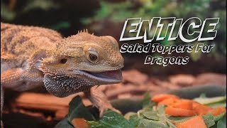 Dragon Won't Eat Veggies? ENTICE 'EM! by Cold Blood Creations 1,168 views 5 months ago 33 seconds