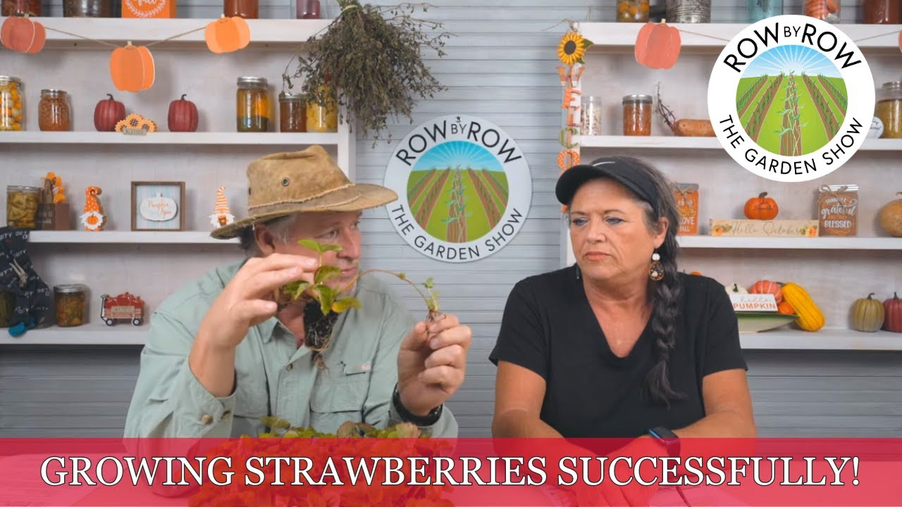 How To Successfully Grow Strawberries | Gardening Tips and Tricks - YouTube