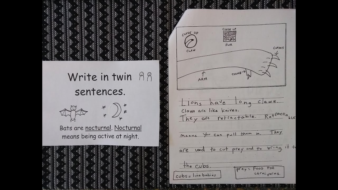 write-in-twin-sentences-writers-ws-38-youtube