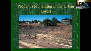 Webinar: Proper Tree Planting in the Urban Forest