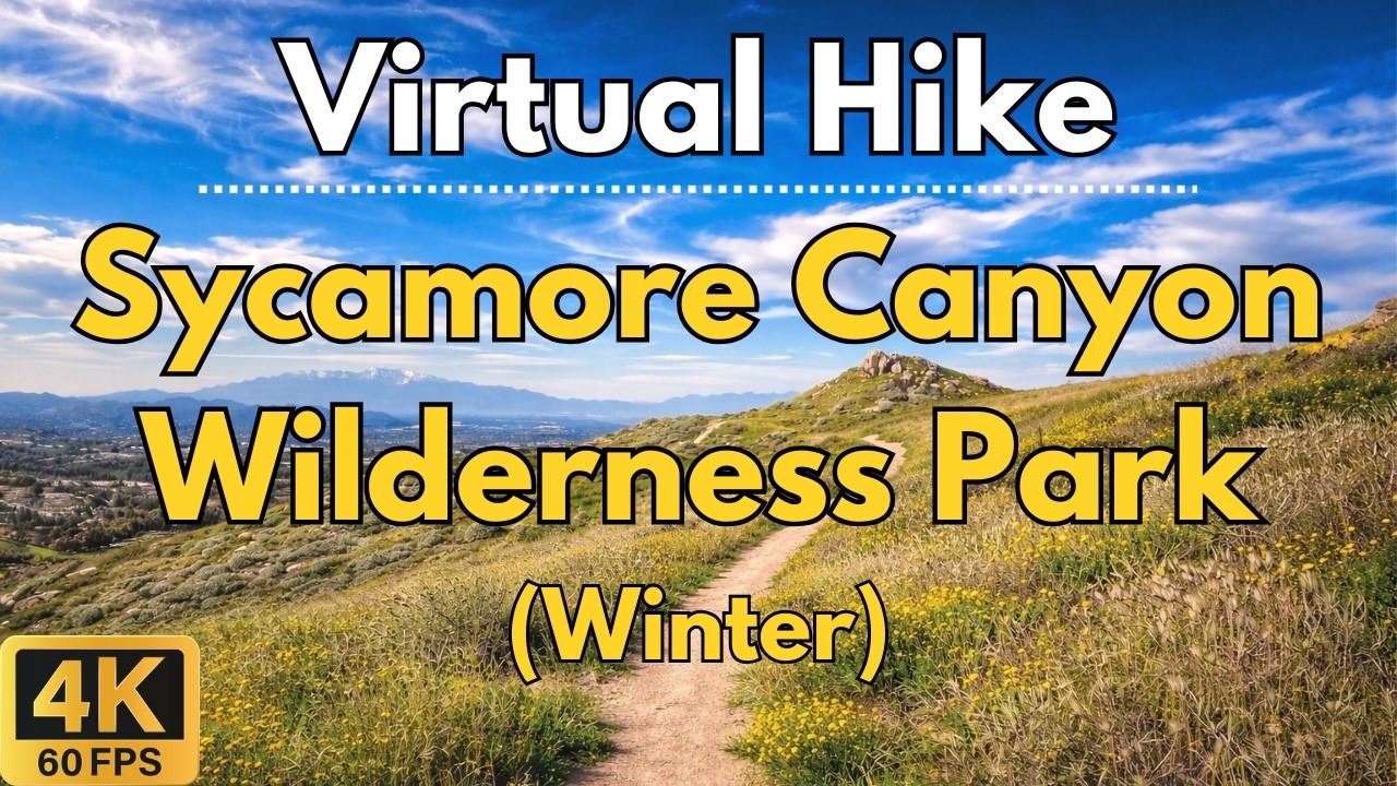 4K Virtual Treadmill Hike – Sycamore Canyon Green Season Trail | 46-Min POV Walk