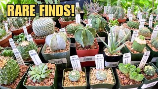 Cactus Shopping At The Worlds Largest Annual Cactus Show Rare Finds