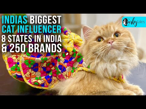 Travel Tales Ep18: India's Biggest Cat Travel Influencer With 39K Followers & 250 Brands |