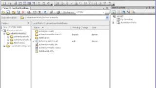 Intro to Version Control Workspaces
