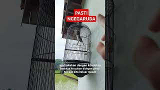 Download Lagu Semudah Itu! cara BIKIN TRUCUK GARUDA Setiap Saat MP3