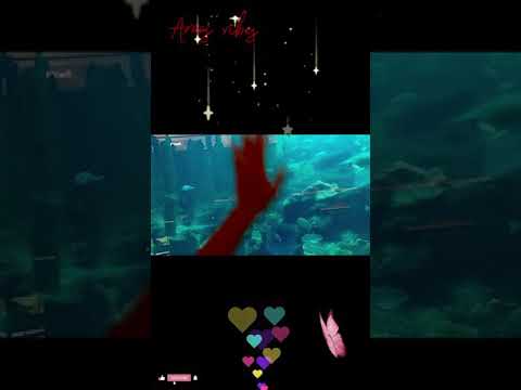 #short#aquarium @Dubai mall#