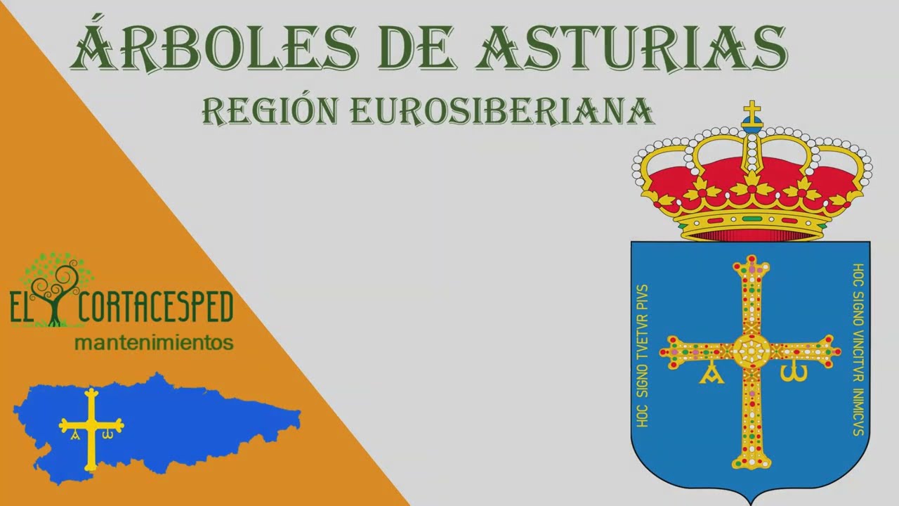 Arboles de Asturias