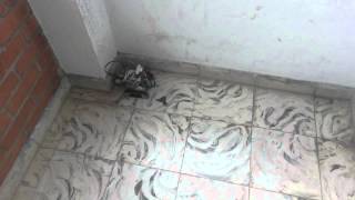 Programacion NXT en Bricx Command Center