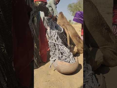 س يادي ة س ح رائي ة ت زيل العالق تحت جمل ها وتضعه في ج ر ة ثابتة لتمنح ه راحة وسكون ا