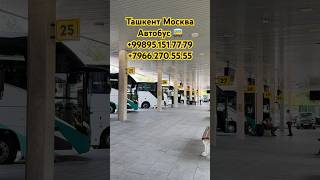 Ташкент Москва Автобус ✅ #ташкент #москва #автобус #tashkent #moskva #avtobus #narxlari #youtube
