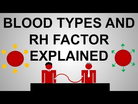 Video: What Does The Rh Factor Of Blood Affect?