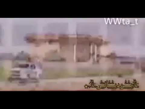 انه الهمة ابن الهمة زله طامر زلمه بيه انهي واشرب مندم