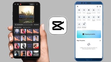 Capcut colourlass flash not showing | Capcut Effect problem (2025)