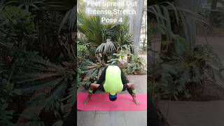 Feet Spread Out Intense Stretch Pose 4