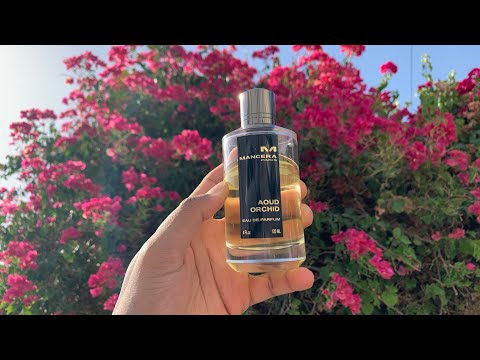     عطر عود أوركيد من مانسيرا
