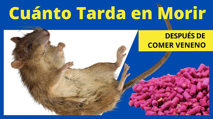 Cuánto TARDA EN MORIR UNA RATA después de COMER VENENO