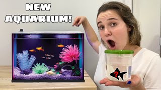 NEW AQUARIUM FOR MYSTERY FISH! WHAT DID I GET?!