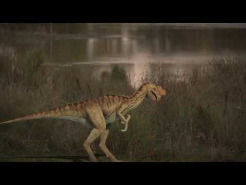 Video: I Brasilien Hittades En Svamp Från Dinosauriernas Tid - Alternativ Vy