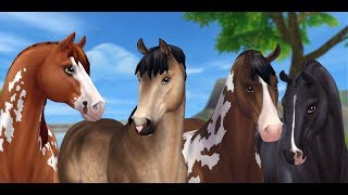 Покупка лошади на начальном аккаунте! Новые Юрвикские Чистокровные! Star Stable Online Покупка лошади на начальном аккаунте! Новые Юрвикские Чистокровные! Star Stable Online