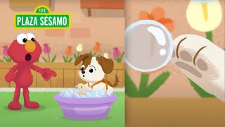 Plaza Sésamo Descubre Con Elmo Qué Sorpresa Hay En La Tina De Burbujas De Tango? Amigos Peludos