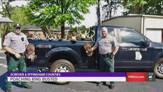 Poaching ring dismantled in Georgia