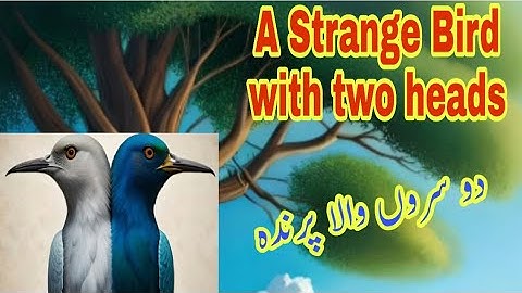 Urdu Moral stories for kids|| A Strange Bird with two heads||Kids Cartoons @LearninginAdventures