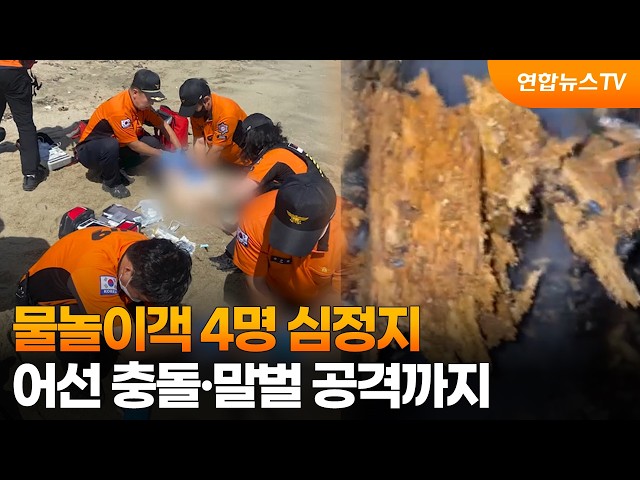물놀이객 4명 심정지…어선 충돌·말벌 공격까지 / 연합뉴스TV (YonhapnewsTV)