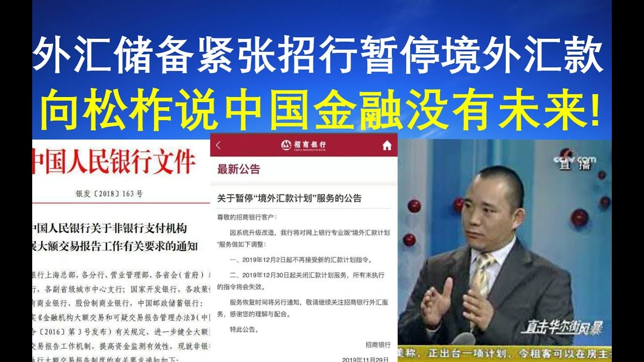 视频：外汇储备紧张招行暂停境外汇款、向松柞说中国金融没有未来!