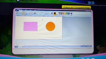 Editing in MS Paint | Class 3