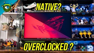 Celebrity Is Overclocking Your Monitor Worth it? | Feat. ROG Strix & Swift 2024 + Valorant & Apex Legends Wealth