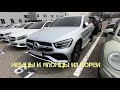 24.03.23 обзор авто 2018 Infinity QX50 , 2020 Mercedes Benz GLC300