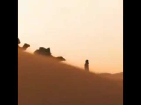 Camel trekking in Merzouga Desert erg chebbi morocco