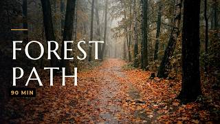 Autumn Forest Rain 🍂 | Falling Leaves & Soft Rainfall for Deep Sleep | No Talking, No Ads screenshot 1