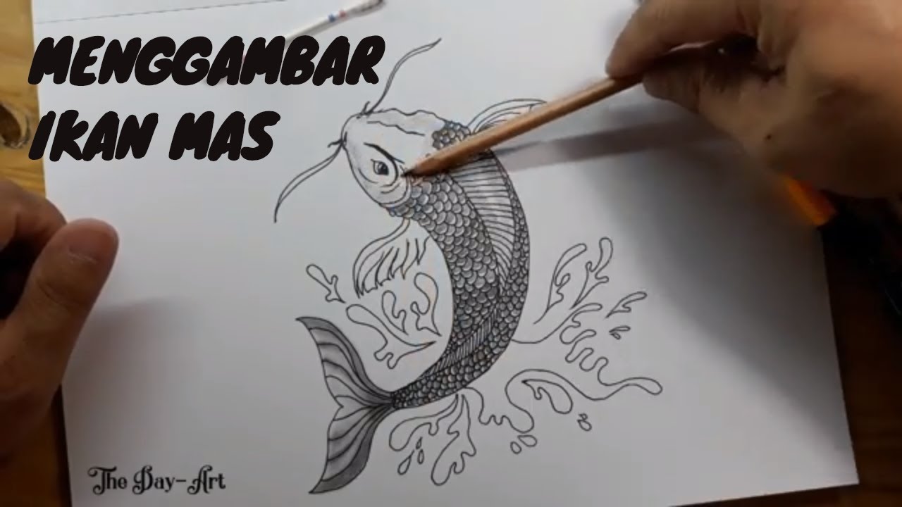 Keren Inilah Cara Menggambar Ikan Mas Koi Dengan Mudah Dan Bagus
