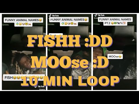 tik-tok-funny-animal-names-10-min-loop-fish-🐟-mousee-🐭😁🤣😅-|-tiktok-memes-2020
