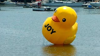 Duck go Quack. Gioia- Duck Simulator 2 (Any% Glitchless- Genocide) in 7:44.233 (PB) screenshot 2