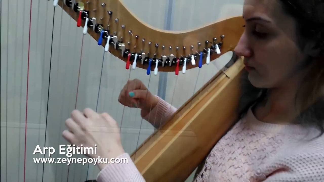 Zeynep Öykü, Arp öğrencilerimle derslerimizden kesitler